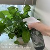 YOLCAR 2 Pack 10oz/300ml Spraying Bottles, Adjustable Spray Bottles with