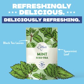 HTeaO Mint Black Tea – Texas-Style Flavored Iced Tea Bags for Summer – Instant Ice Tea Packets for Quick Brew - Loaded Tea Sachets Ready in 5 Minutes (16-Count, Makes 8 Gallons Total)