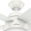 Hunter 46 inch Indoor Ceiling Fan with LED Light -