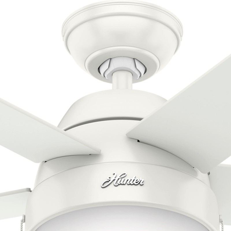 Hunter 46 inch Indoor Ceiling Fan with LED Light -