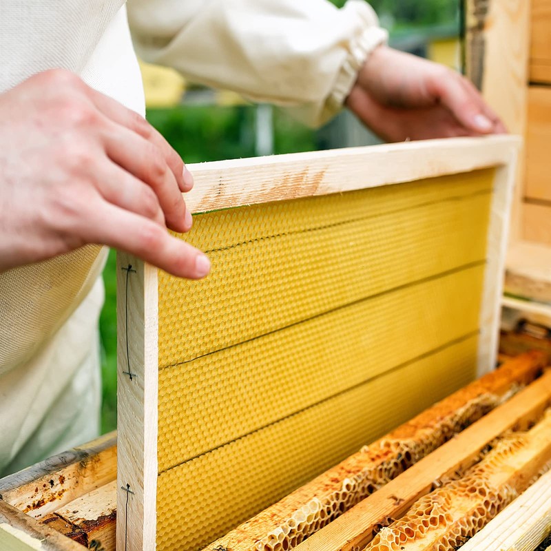 sourcing map 20Pcs Plastic Beehive Frame Spacers, Beehive Frame Spacing