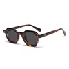 WDZAYXC Retro Chunky Hexagon Sunglasses for Men and Women Trendy