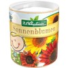 Garden Children's Sunflowers Colour Fascination