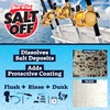 STAR BRITE Salt Off Kit – Applicator & 32 OZ