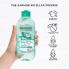 Garnier SkinActive Micellar Water with Hyaluronic Acid, Facial Cleanser Makeup
