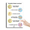 Sign Hands Washing Instructions 20 x 30 cm Sign Hand