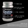 Creatina Monohidrato En Polvo 350g Prowinner Sabor Natural