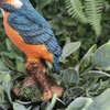 Vivid Arts Plant Pals - Kingfisher Plant Pal (PLP-104)