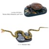 Carolata Yanbaru Biological Box (3D Picture Book), Birds, Insects, Reptiles,