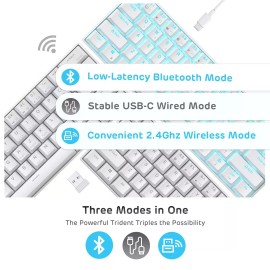 RK ROYAL KLUDGE RK61 Wireless 60% Mechanical Gaming Keyboard, Ultra-Compact 6...