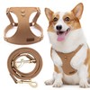 Dog Harness, No Pull Dogs Harness and Multi-Function Leash Set