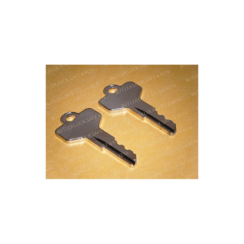 2 Keys DO18 Fits Allen Bradley Elec Switch Keyed Switches