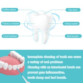 lanjue 250 Pieces Dental Floss Picks, Silicone Interdental Brushes with Case Dental Brushes Dental Picks Green Tooth Floss Picks for Teeth Cleaning(Green)