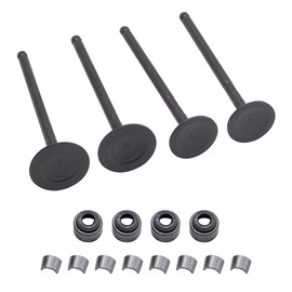 Cylinman 3087982 3087981 Intake Valve Exhaust Valves Seals Kit Fit for Polaris Predator 500 Outlaw 500 2003-2007
