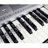 QMG Piano and Keyboard Full Set Stickers for White and