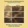 Soft Color Tinte Semi Permanente 71 Rubio Cenizo