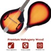 Ktaxon A-Style Mandolin Instrument Kit, 8 Strings Acoustic Mahogany Wood