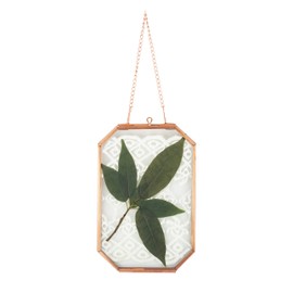 NCYP Wall Hanging 4X6 Inches Octagon Rose Gold Glass Frame for Pressed Dried Flowers, Handmade Double Glass Pure Copper Herbarium Frame, Floating Frame Style, Glass Frame Only