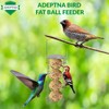 ADEPTNA Set of 2 Premium Hanging Fat Ball Wild Bird