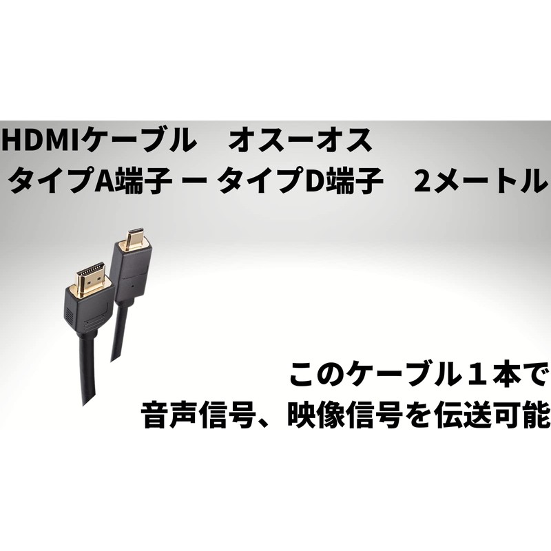 Pioneer CD-HM221 2m (Type A Male to Type-D Male) to