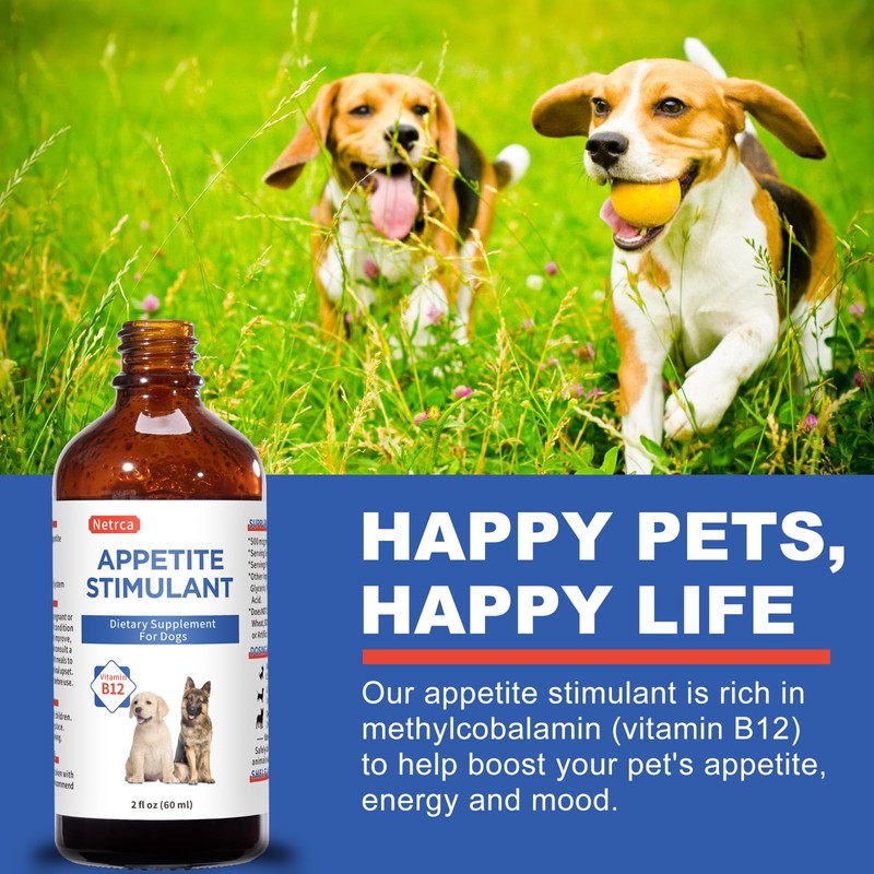 Netrca Appetite Stimulant for Dogs - Vitamin B12 (Methylcobalamin) Liquid