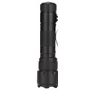 Ultraviolet Flashlight High Brightness Multifunctional Portable UV Flashlight for Pets