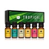 P&J Trading Fragrance Oil | Tropical Set of 6 -