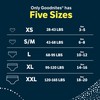 Goodnites Girls' Nighttime Bedwetting Underwear, Size Extra Large (95-120 lbs),