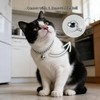Cwyza Silver Cat Chain Collar with Removable Bell