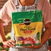 Miracle-Gro Water Soluble All Purpose Plant Food, Feed Flowers, Vegetables,