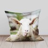 Beabes Pillowcase Funny Sheep Showing Tongue Face Portrait Set of