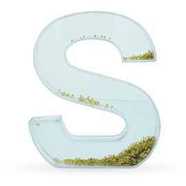 Letter S Glitter-Filled Acrylic Snow Globe