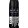 AXE 12 AXE body spray deodrant Anit-Aerspirant (12X 150 ml/5.07