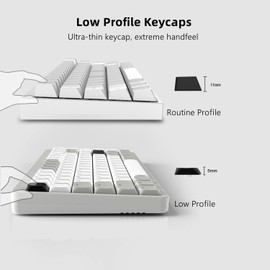 Womier Low Profile Keycaps - Shine Through Keycaps 60 65 75 100 Percent, Keyboard Key caps PBT Full Size for Cherry Gateron MX Switches Mechanical Keyboard, Grey/White
