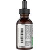 Horbaach Echinacea Drops Herb Tincture | 2 fl oz |