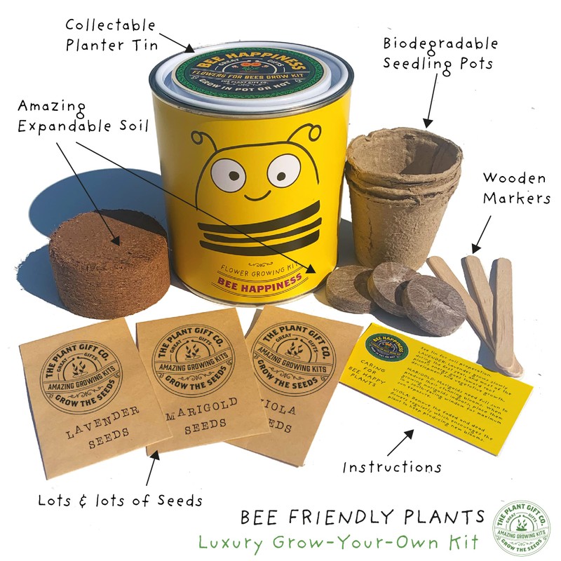Bee Friendly Flower Luxury Grow Kit, The Plant Gift Co.