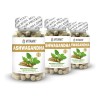 Vitamx Suplemento 300 Capsulas Relajante Antiestres