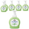I'm Clean Antibacterial Foam Hand Soap Green Grape Fragrance, 490ml, 6 Pieces / 아이깨끗해 항균 폼 핸드솝 청포도향, 490ml, 6개
