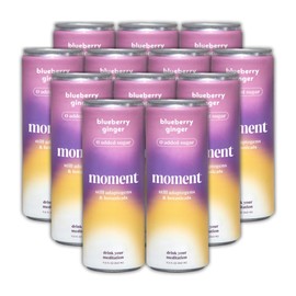 Moment Still Botanical Water (Blueberry Ginger, 11.5 Fl Oz (Pack of 12))