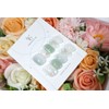 Handmade nails - Clean - Basic - Short square /