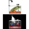 iPriro Fish Tank, 3 Gallon Ultra-Clear Glass Fish Aquarium, with