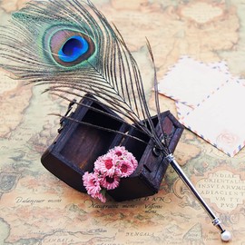 OPENDGO Peacock Feather Ballpoint Pen,Black Ink Vintage Feather Quill Refined Plated Rod Quill Ballpoint Pen For School Writing ▏Wedding Gift Signature Pen (1*Peacock Feather Pen)