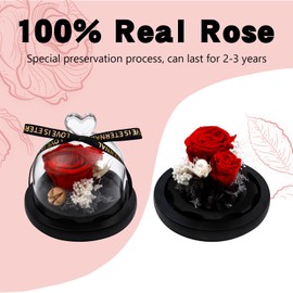 Preserved Rose Flowers for Women, Preserved Flowers in Glass Heart Design Dome, Forever Real Roses Gift for Valentine's Day, Mother's Day, Christmas, Anniversary and Birthday (Red)