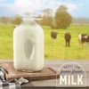 KitchenToolz Glass Milk Jug 64 oz – Half Gallon Jar