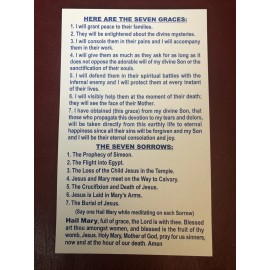 Lot of 5 Trad Catholic Prayer Card - Devotion To The Seven Sorrows Of Mary