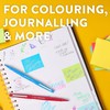Paper Mate Flair Felt Tip Pens | Medium Point (0.7mm)
