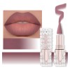 Ainipink Labial Mate 1 Pieza Con Fácil Aplicación