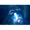 SE Blue 45 Lumens Flashlights (12-Pack) - FL3702BL-1W-12