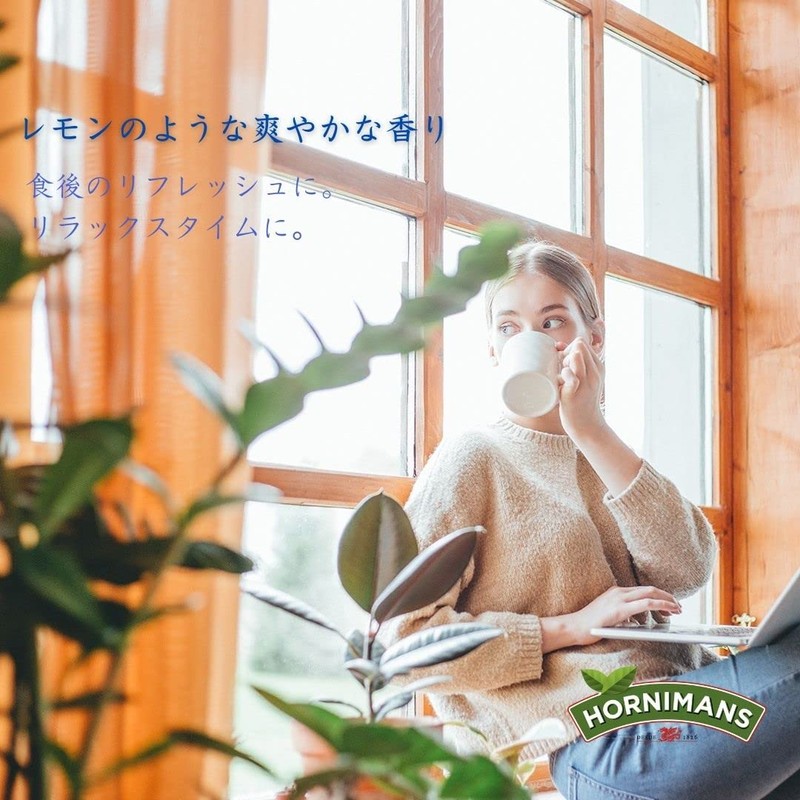 Lemongrass Herbal Tea Hornimans Hierba Luisa Hornimans