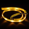 Blazin' Safety LED Dog Leash - USB Rechargeable Flashing Light,